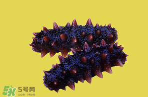 春天能吃海參嗎？春天吃海參效果好嗎？
