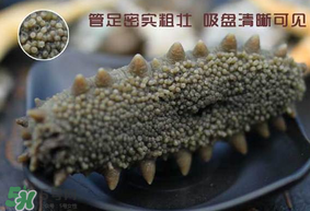 春天能吃海參嗎？春天吃海參效果好嗎？