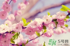 春天容易得水痘嗎？春天是水痘的高發(fā)季節(jié)嗎？