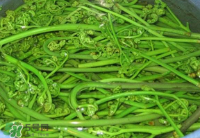 蕨菜怎么洗？蕨菜怎么清洗才干凈？