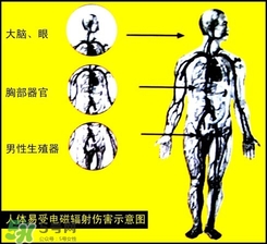 防輻射服什么時候開始穿？防輻射服真的有用嗎？