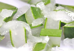 出水痘能用蘆薈膠嗎？水痘破了能擦蘆薈膠嗎？
