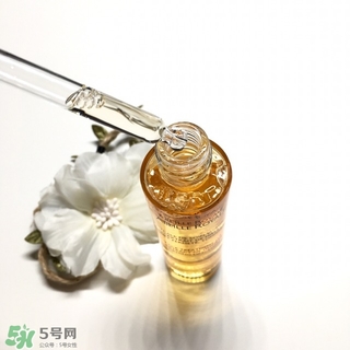 嬌蘭黃金蜜原蜜怎么用？嬌蘭黃金蜜原蜜使用方法