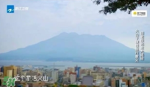 明治膠原蛋白粉怎么吃？明治膠原蛋白粉用法用量