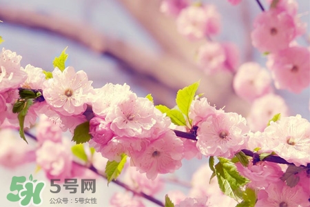 春分可以回娘家嗎？春分能在娘家過夜嗎？