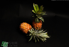 春天可以吃菠蘿嗎？春天吃菠蘿有什么好處？