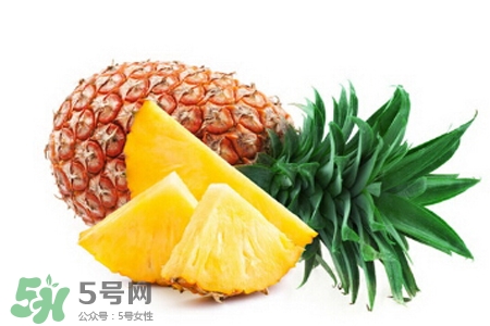 3月份有菠蘿吃嗎？三月份菠蘿可以吃嗎？