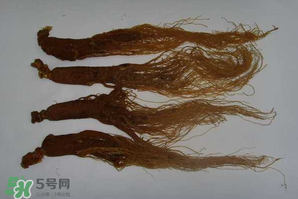 紅參可以天天吃嗎？紅參的功效與作用