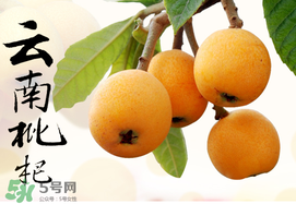 枇杷能放冰箱嗎？枇杷可以放冰箱保存嗎？