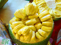 菠蘿蜜的營(yíng)養(yǎng)價(jià)值 吃菠蘿蜜有什么好處？