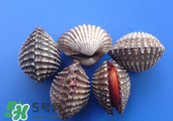 泥蚶怎么讀？泥蚶做法