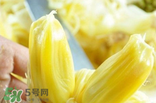 菠蘿蜜怎么吃？菠蘿蜜好吃嗎？