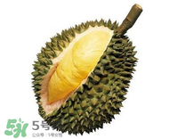 榴蓮可以和酸奶一起吃嗎？吃榴蓮喝酸奶會(huì)中毒嗎？
