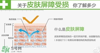 玉澤和至本哪個好？玉澤和至本區(qū)別對比
