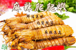 枇杷可以和海鮮能一起吃嗎？枇杷和海鮮一起吃吃好嗎？