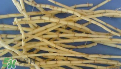 茅根的功效與作用 茅根有什么作用？