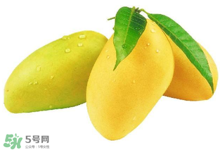 芒果哪里的最好吃？芒果哪種品種好吃？