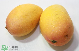 芒果哪里的最好吃？芒果哪種品種好吃？