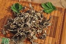 艾草會(huì)導(dǎo)致流產(chǎn)嗎？艾草到底保胎還是流產(chǎn)？