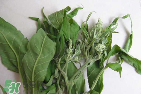 艾草會(huì)導(dǎo)致流產(chǎn)嗎？艾草到底保胎還是流產(chǎn)？