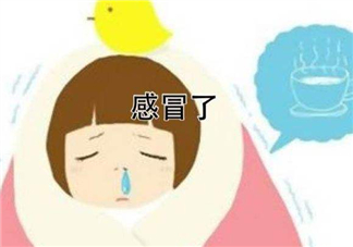 為什么總是感冒？總是感冒怎么回事？