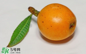 枇杷可以和蔥一起煮嗎？蔥和枇杷葉一起煮可以喝嗎？