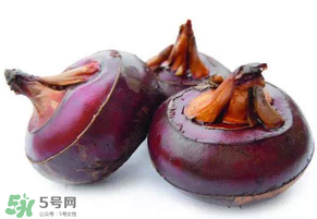 枇杷可以和荸薺一起煮水嗎？枇杷和荸薺能一起吃嗎？
