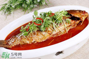 枇杷和魚能一起吃嗎？吃完魚可以吃枇杷嗎？