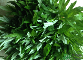 清明草是艾草嗎？清明菜是什么草？