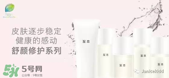 至本是什么牌子？至本什么檔次？