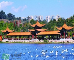 4月份去昆明穿什么？四月份去昆明穿什么衣服？