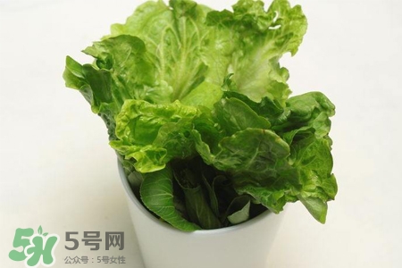 春菜為什么會(huì)苦？春菜發(fā)苦能吃嗎？