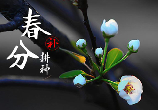 春分吃春菜有什么好處？春菜有什么營養(yǎng)價(jià)值？