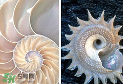 珍珠貝母表盤好嗎？珍珠貝母表盤耐用嗎？
