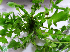 春天吃薺菜好嗎？春天吃薺菜有什么好處？