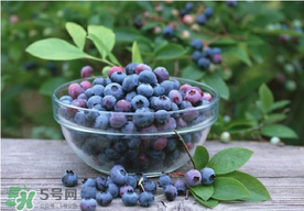 藍(lán)莓一天吃多少為宜？藍(lán)莓每天吃多少合適？