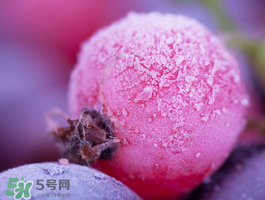 藍(lán)莓變紅可以吃嗎？藍(lán)莓發(fā)紅是壞掉了嘛？