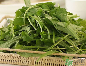 薺菜有毒嗎？吃薺菜會(huì)中毒嗎？