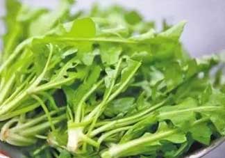 便秘能吃薺菜嗎？便秘可以吃薺菜嗎？