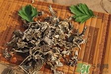 艾草是哪個(gè)季節(jié)的？艾草是什么季節(jié)采摘？