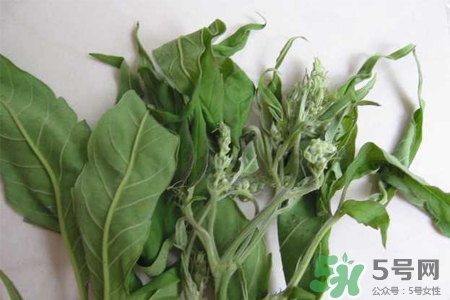 艾草可以泡腳嗎？艾葉泡腳的功效與作用