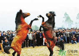 三月三有什么禁忌？三月三有什么講究？