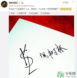 楊樹林口紅是什么牌子？楊樹林口紅是哪個(gè)國家的？