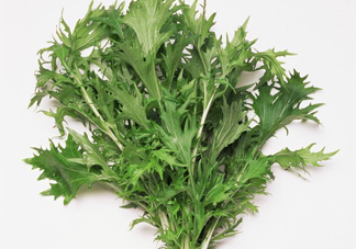 艾草是寒性的嗎？艾草是涼性的嗎？