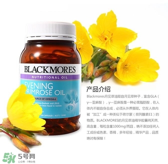 blackmores見(jiàn)月草的功效如何 blackmores見(jiàn)月草的作用如何