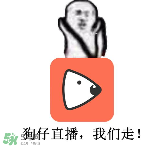 黃鱔為什么火了？黃鱔我們走為什么火了？