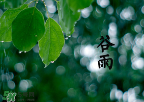 2017年谷雨是幾月幾號？2017年谷雨是哪一天？