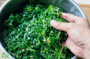 薺菜怎么腌制？薺菜的腌制方法