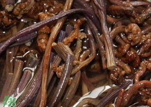 蕨菜能吃嗎？蕨菜可以吃嗎？