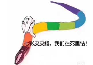 七彩皮皮鱔我們往死里鉆是什么意思？七彩皮皮鱔我們?nèi)€好地方是什么意思？